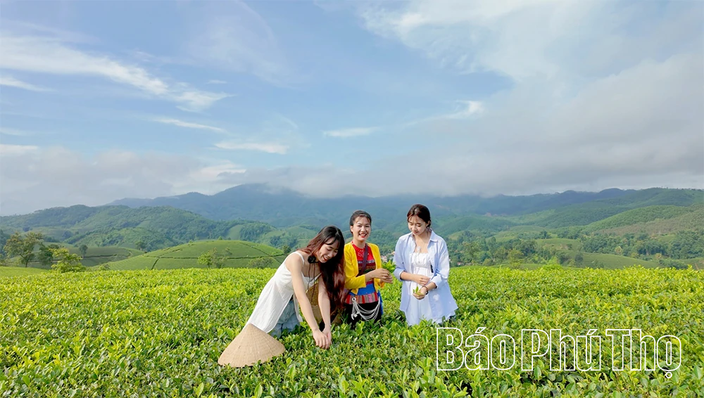 Long Cốc: Giấc mơ “hóa rồng” đang thành hiện thực