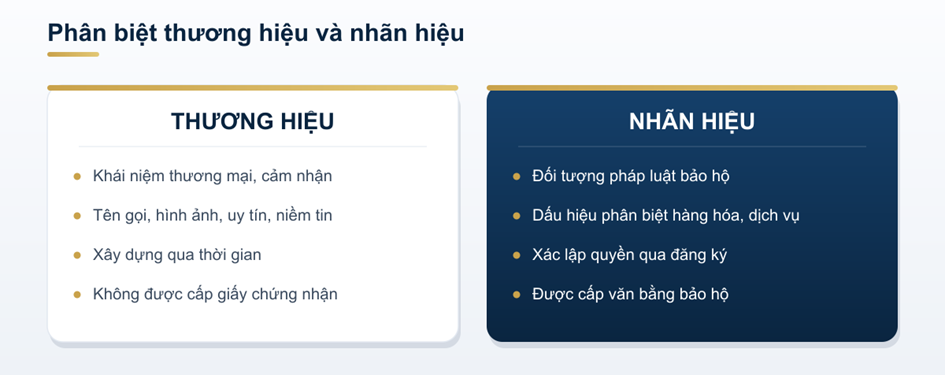 Làm thế nào để bảo hộ thương hiệu toàn diện?