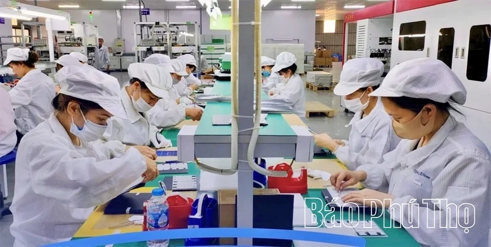 “Green Channel” Accelerates Investment